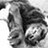 Aaron_Edwards