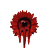 AltaiirIF