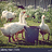 BucketofGeese
