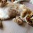 Caell_Catto