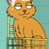 Avatar for ChairmanMeow