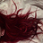 chrysalisgames