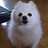 Corey_Martin