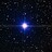Cygnus Cygnus
