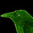 DarkForestCrow