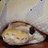 Earl_Le_Vert