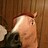 HorseDude