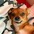 Kaydie_Gomes