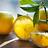 LemonadeDays