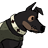 PlayerMLG234