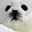 Selkie_Seal