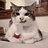 TylertheTiger02