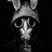 VariX