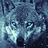Wolf_Boy