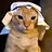 catevildev