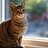 devcat