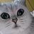 GhostCatcg