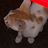mahabubx7