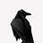 raventrk