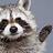 swiftraccoon