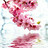 abhay96cmd