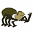arachnid
