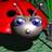 rjkmacrocom
