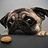 Manav_PNH_Infy