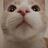 meeeeeooooowwwwwww