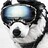 Airport_Dog