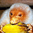 chrisk