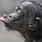fiercemonkey