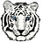 WhiteTiger-IT