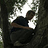 aaron.kelly117