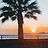 Alix_Michaux