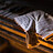 blakeaitken02