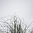 danielbgreenway