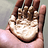 Michael_L_Smith