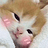 mitsuhi