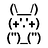 rnarracci1