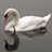 monica_blessent