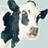 ThePythonicCow