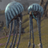 teegers